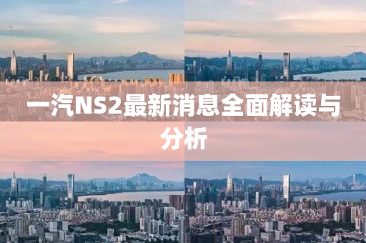 一汽NS2最新消息全面解读与分析