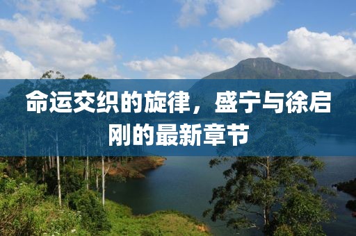 命运交织的旋律，盛宁与徐启刚的最新章节