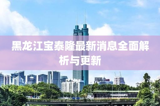 黑龙江宝泰隆最新消息全面解析与更新