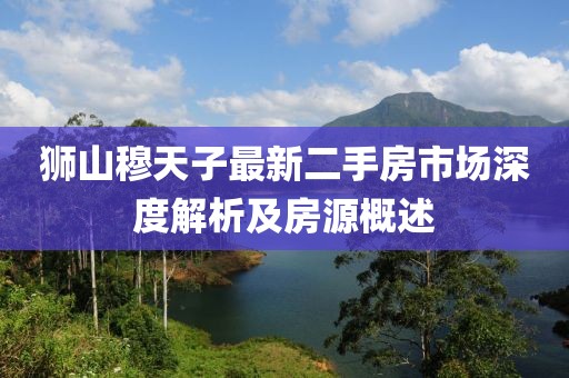 狮山穆天子最新二手房市场深度解析及房源概述