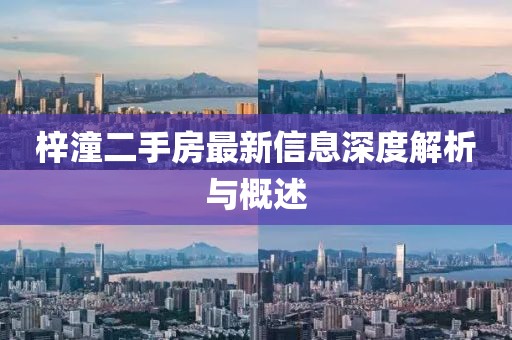 梓潼二手房最新信息深度解析与概述