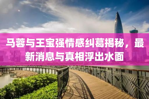 马蓉与王宝强情感纠葛揭秘，最新消息与真相浮出水面