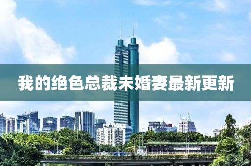 我的绝色总裁未婚妻最新更新