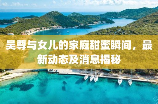 吴尊与女儿的家庭甜蜜瞬间，最新动态及消息揭秘