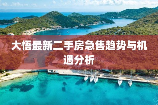 大悟最新二手房急售趋势与机遇分析