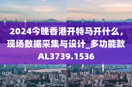 2024今晚香港开特马开什么，现场数据采集与设计_多功能款AL3739.1536