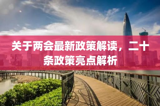 关于两会最新政策解读，二十条政策亮点解析