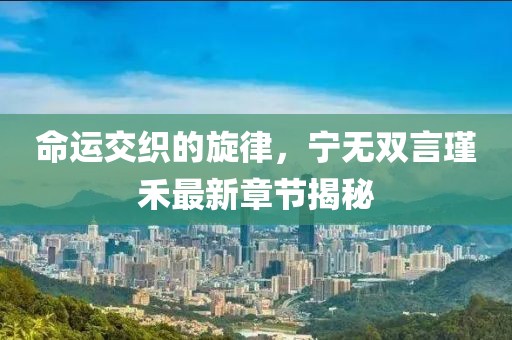 命运交织的旋律，宁无双言瑾禾最新章节揭秘