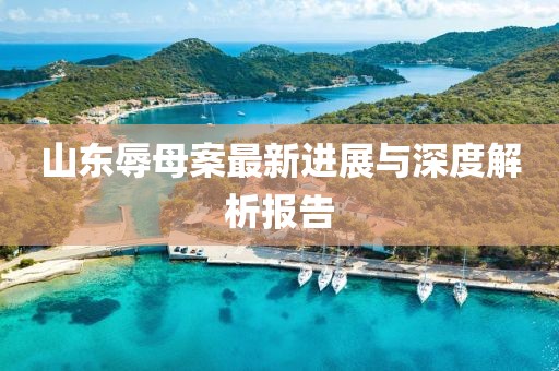 山东辱母案最新进展与深度解析报告
