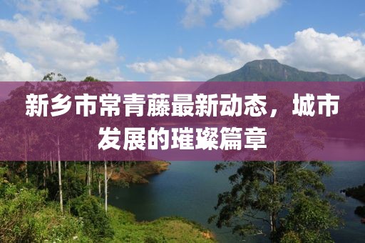 新乡市常青藤最新动态，城市发展的璀璨篇章