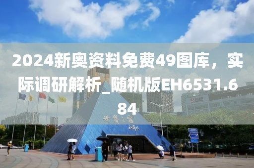 2024新奥资料免费49图库，实际调研解析_随机版EH6531.684