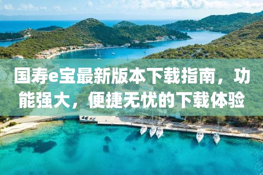 国寿e宝最新版本下载指南，功能强大，便捷无忧的下载体验