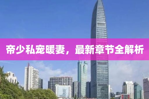 帝少私宠暖妻，最新章节全解析