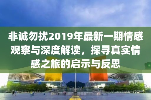 非诚勿扰2019年最新一期情感观察与深度解读，探寻真实情感之旅的启示与反思