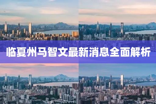 临夏州马智文最新消息全面解析