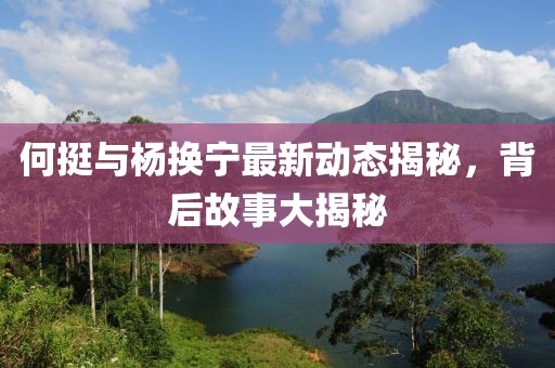 何挺与杨换宁最新动态揭秘，背后故事大揭秘