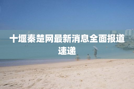 十堰秦楚网最新消息全面报道速递