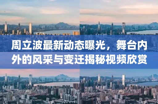 周立波最新动态曝光，舞台内外的风采与变迁揭秘视频欣赏
