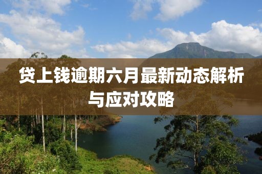 贷上钱逾期六月最新动态解析与应对攻略