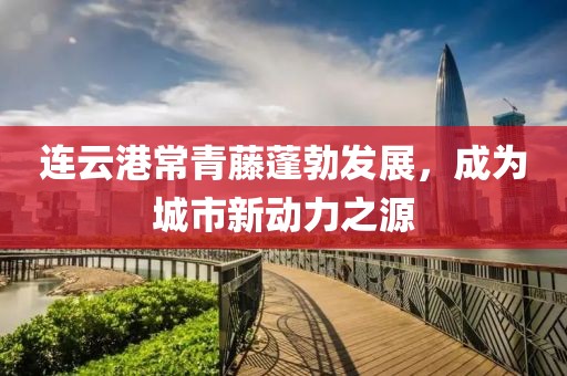 连云港常青藤蓬勃发展，成为城市新动力之源