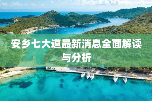 安乡七大道最新消息全面解读与分析