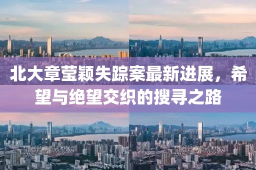 北大章莹颖失踪案最新进展，希望与绝望交织的搜寻之路