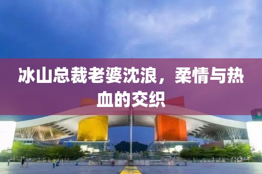 冰山总裁老婆沈浪，柔情与热血的交织