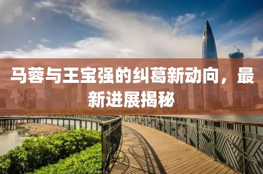 马蓉与王宝强的纠葛新动向，最新进展揭秘