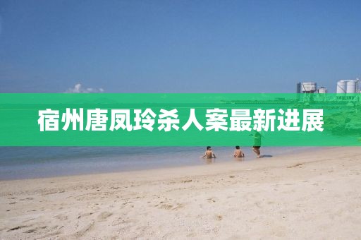 宿州唐凤玲杀人案最新进展