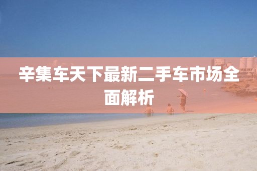 辛集车天下最新二手车市场全面解析