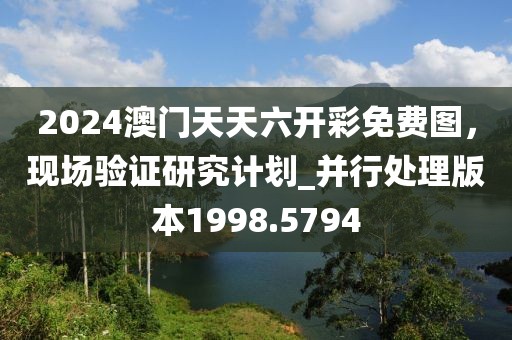 2024澳门天天六开彩免费图，现场验证研究计划_并行处理版本1998.5794