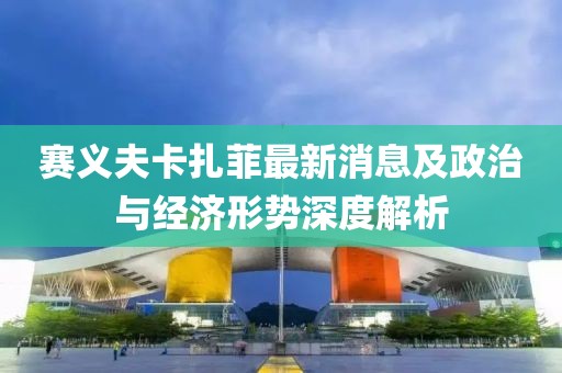 赛义夫卡扎菲最新消息及政治与经济形势深度解析