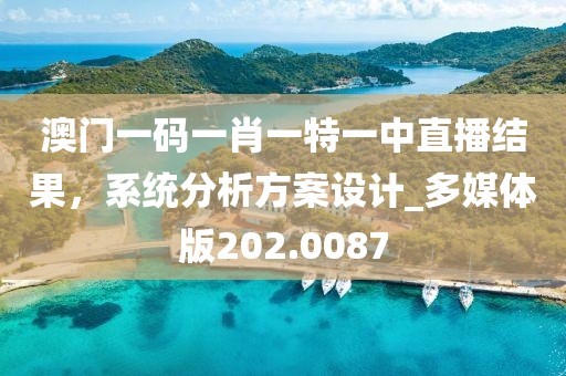 澳门一码一肖一特一中直播结果，系统分析方案设计_多媒体版202.0087