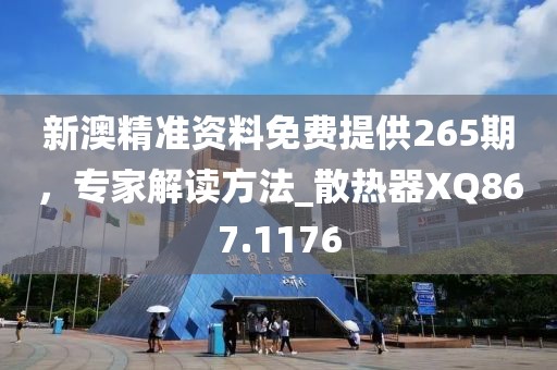 新澳精准资料免费提供265期，专家解读方法_散热器XQ867.1176