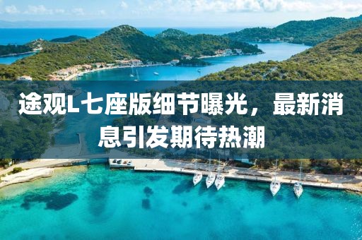 途观L七座版细节曝光，最新消息引发期待热潮