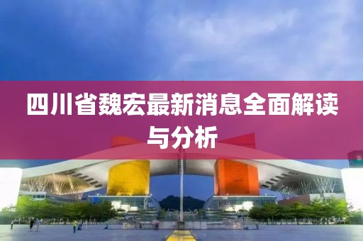 四川省魏宏最新消息全面解读与分析