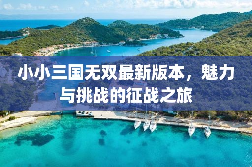 小小三国无双最新版本，魅力与挑战的征战之旅