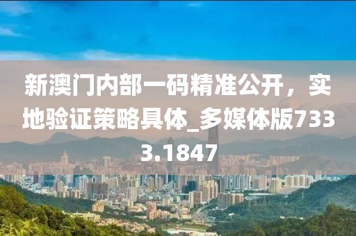 新澳门内部一码精准公开，实地验证策略具体_多媒体版7333.1847