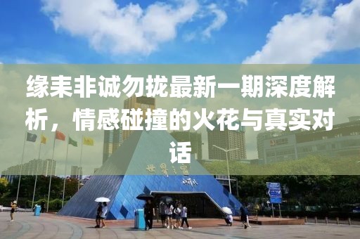 缘耒非诚勿拢最新一期深度解析，情感碰撞的火花与真实对话