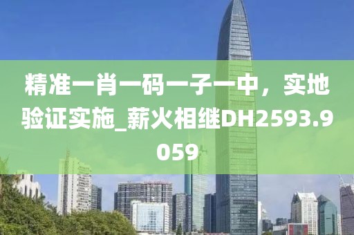 精准一肖一码一子一中，实地验证实施_薪火相继DH2593.9059