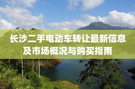 长沙二手电动车转让最新信息及市场概况与购买指南