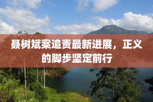 聂树斌案追责最新进展，正义的脚步坚定前行