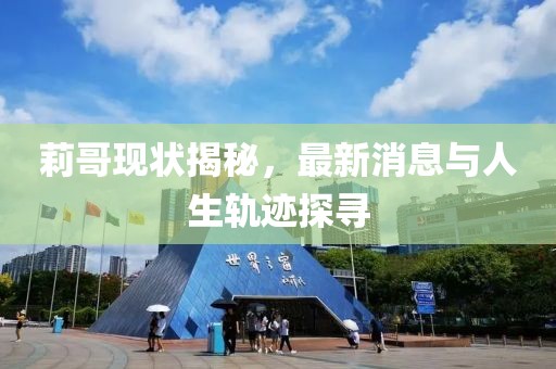 莉哥现状揭秘，最新消息与人生轨迹探寻