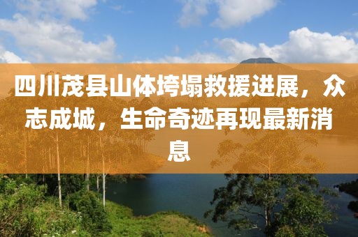 四川茂县山体垮塌救援进展，众志成城，生命奇迹再现最新消息