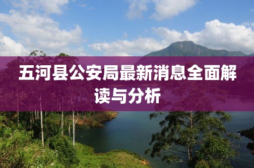 五河县公安局最新消息全面解读与分析