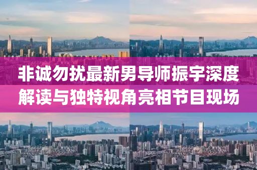 非诚勿扰最新男导师振宇深度解读与独特视角亮相节目现场