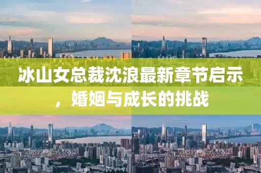冰山女总裁沈浪最新章节启示，婚姻与成长的挑战