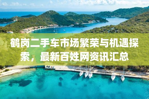 鹤岗二手车市场繁荣与机遇探索，最新百姓网资讯汇总