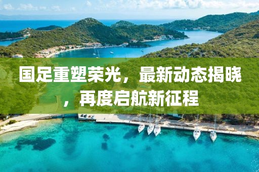 国足重塑荣光，最新动态揭晓，再度启航新征程