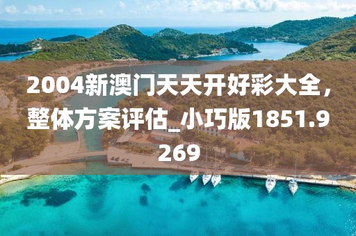2004新澳门天天开好彩大全，整体方案评估_小巧版1851.9269